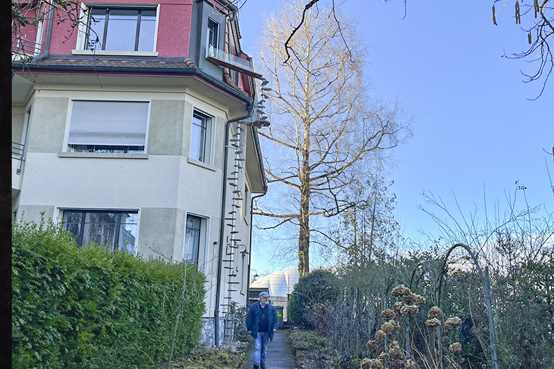 REF 6192: CATWALK Katzentreppe 780 cm in BE-Bern REF 6192: CATWALK Katzentreppe 780 cm in BE-Bern